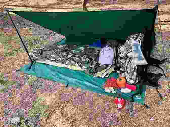 A Frame Tarp Shelter In A Forest POCKET FIELD GUIDE: Survival Tarp Shelters