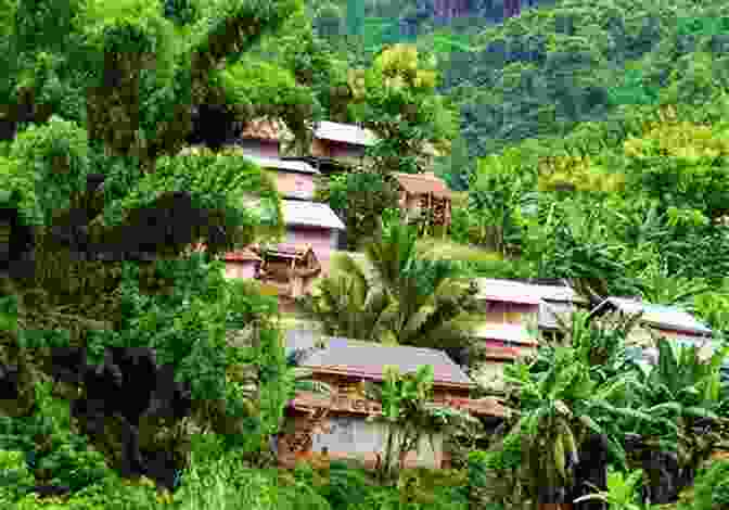 A Lush Green Jungle With A Winding River And A Small Village In The Distance Don T Sleep There Are Snakes: Life And Language In The Our Book Libraryian Jungle (Vintage Departures)