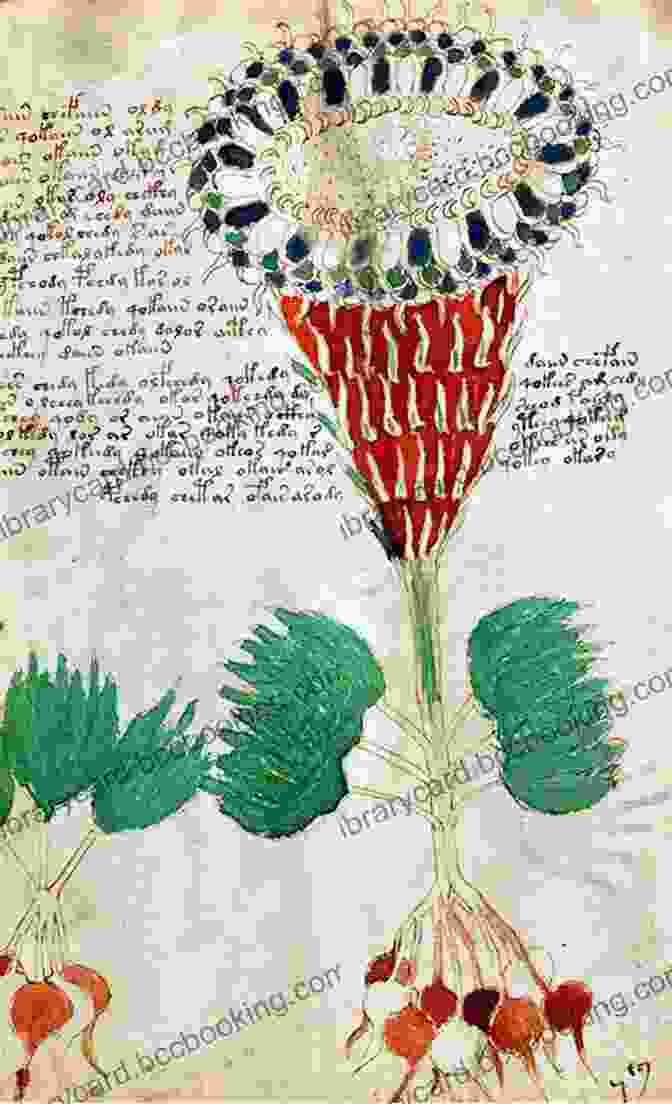 A Page From The Voynich Manuscript, Displaying Its Enigmatic Text And Illustrations The World S Strangest Forgotten Conspiracy Theories (Mysteries And Conspiracies 1)