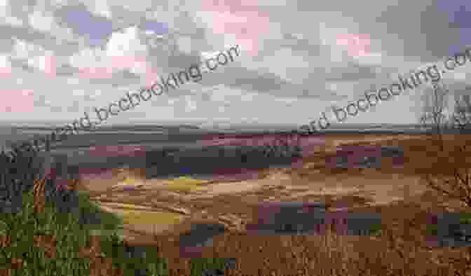 A Panoramic View Of A Vast Moorland, Stretching Into The Horizon Under A Dramatic Sky The Moor: Lives Landscape Literature