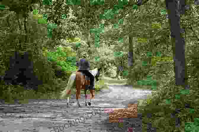 A Person Riding A Horse Through A Scenic Landscape, Symbolizing The Journey Of Personal Growth And Self Discovery The Year Of The Horses: A Memoir