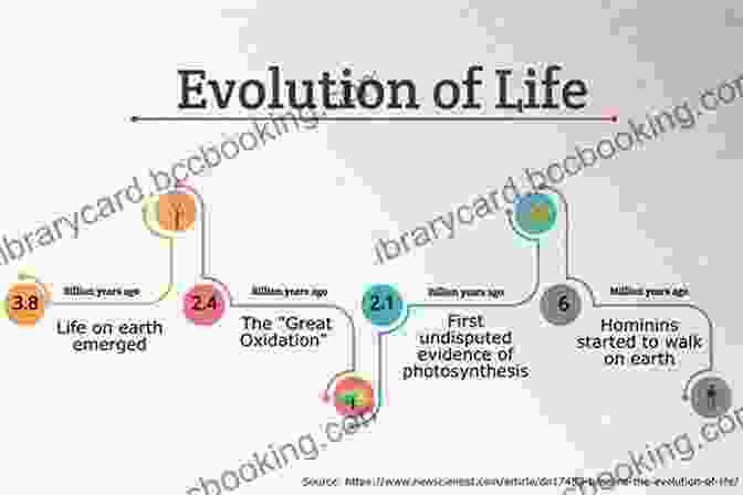 A Timeline Depicting The Evolution Of Life From Single Celled Organisms To Humans TI AND THE MAGICAL KEY: How It All Began