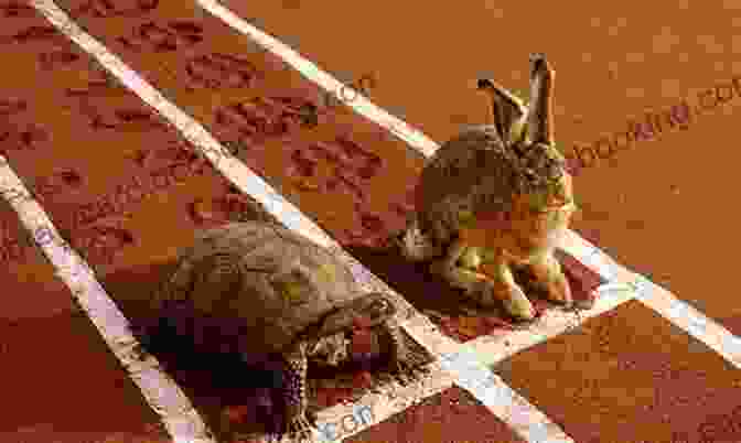 A Tortoise Slowly And Steadily Crossing The Finish Line Ahead Of A Sleeping Hare Otter S Coat: The Real Reason Turtle Raced Rabbit: A Cherolachian Tortoise And Hare