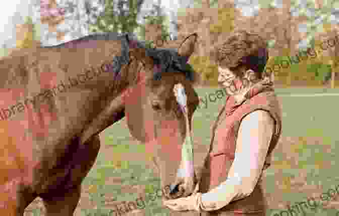 A Woman Gently Grooming A Horse, Showcasing The Deep Bond And Connection Between Humans And Animals The Year Of The Horses: A Memoir