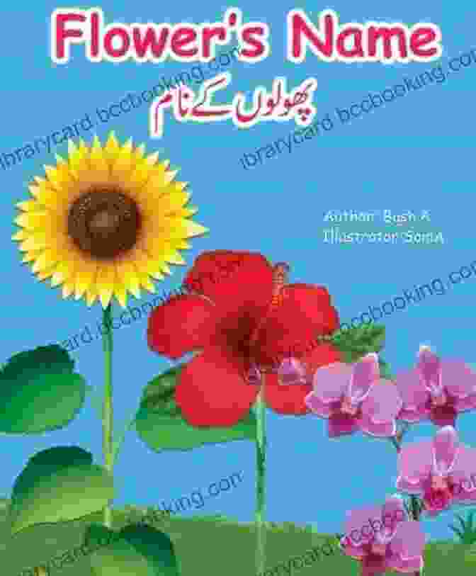 Bilingual Edition English Urdu Book Cover A Baby Nightingale ( Bulbul Ka Bacha): Bilingual Edition English Urdu