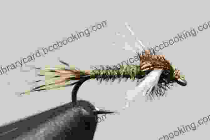 Close Up Of Various Nymph Patterns Nymph Masters: Fly Fishing Secrets From Expert Anglers