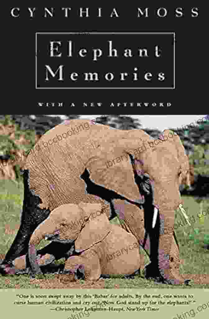 Cover Of The Book 'Thirteen Years In The Life Of An Elephant Family' Featuring A Family Of Elephants Walking In The African Savanna. Elephant Memories: Thirteen Years In The Life Of An Elephant Family