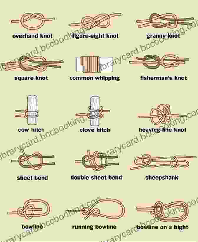 Diagram Of Basic Knot Tying Techniques The Pocket Guide To Equine Knots: A Step By Step Guide To The Most Important Knots For Horse And Rider (Skyhorse Pocket Guides)