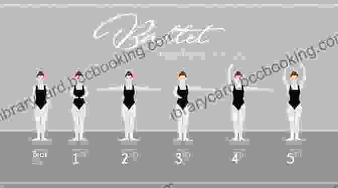 Diagram Showing The Five Basic Ballet Positions Basic Principles Of Classical Ballet