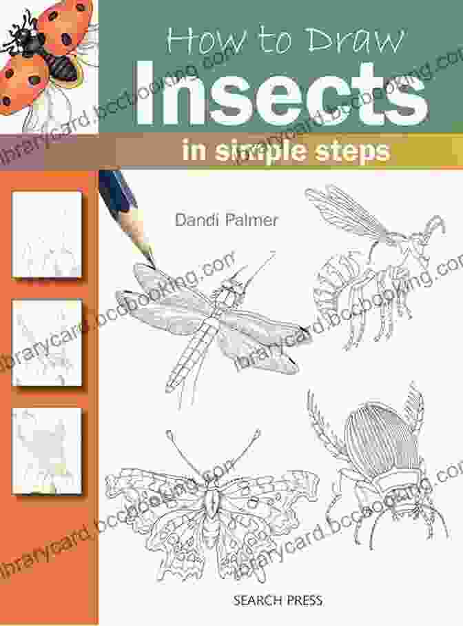 Gallery Of Insect Drawings By Dandi Palmer How To Draw: Insects Dandi Palmer