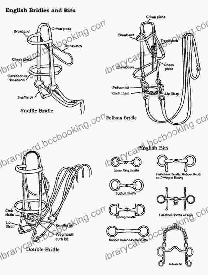 Illustrations Of Bridle And Bit Knots The Pocket Guide To Equine Knots: A Step By Step Guide To The Most Important Knots For Horse And Rider (Skyhorse Pocket Guides)
