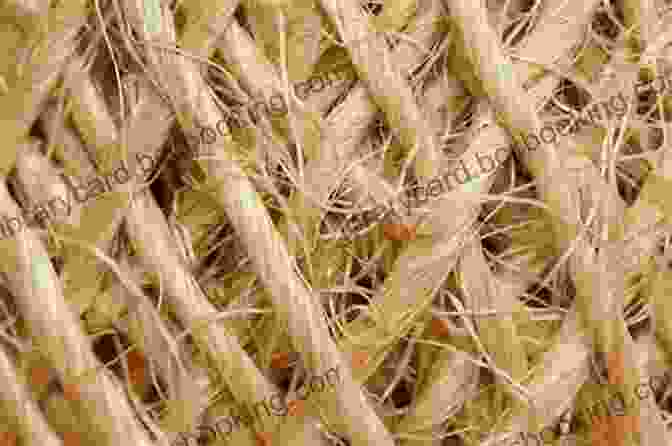Image Of Natural Fibers Displayed On A Wooden Surface Fabric For Fashion: The Complete Guide Second Edition