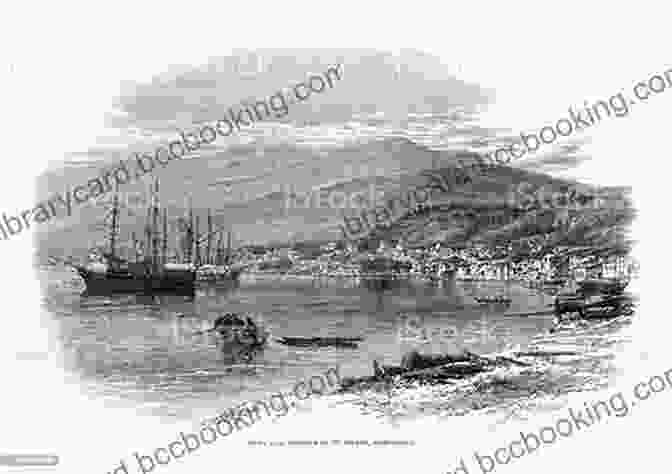 Port Of Saint Pierre, Martinique, 19th Century Slavery In The Circuit Of Sugar Second Edition: Martinique And The World Economy 1830 1848 (SUNY Fernand Braudel Center Studies In Historical Social Science)