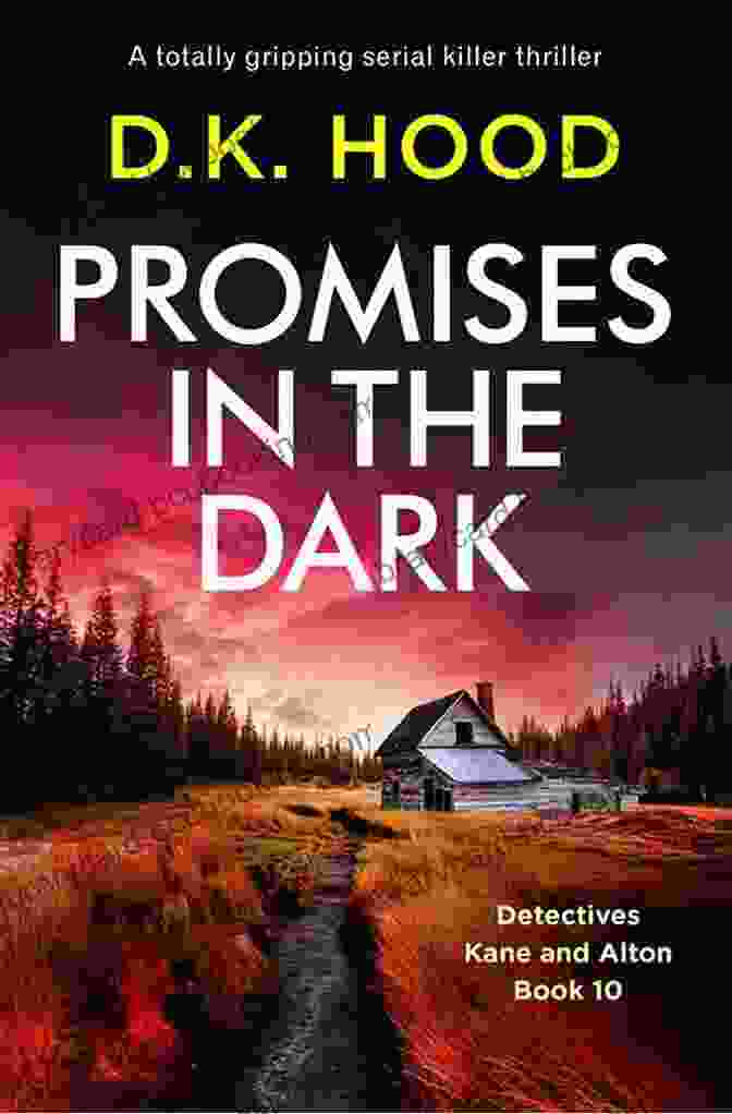 Promises In The Dark Book Cover Featuring A Woman's Silhouette In A Dark Alley Promises In The Dark: A Totally Gripping Serial Killer Thriller (Detectives Kane And Alton 10)