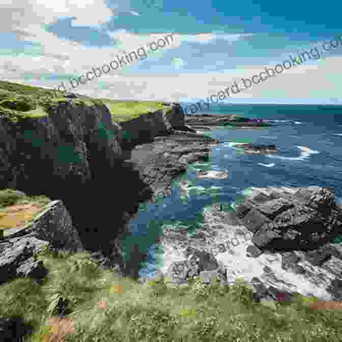 Rugged Coastline With Towering Cliffs Overlooking The Vast Expanse Of The Ocean. New England S Roadside Ecology: Explore 30 Of The Region S Unique Natural Areas