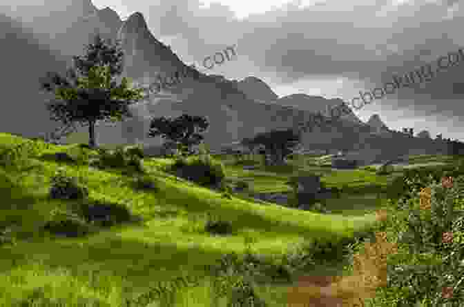 Rugged Peaks And Lush Vegetation Of The Simien Mountains Country Jumper In Ethiopia Claudia Dobson Largie