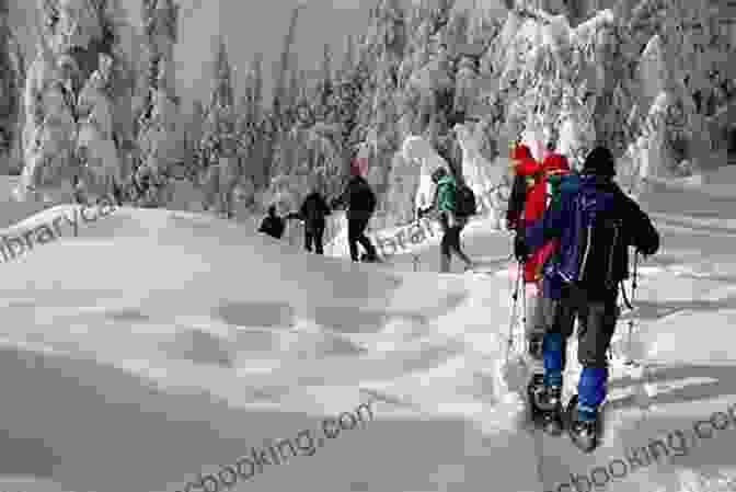 Snowshoeing Through A Beautiful Winter Landscape The Snowshoe Experience: Gear Up Discover The Wonders Of Winter On Snowshoes (Get Out Do It Guide)