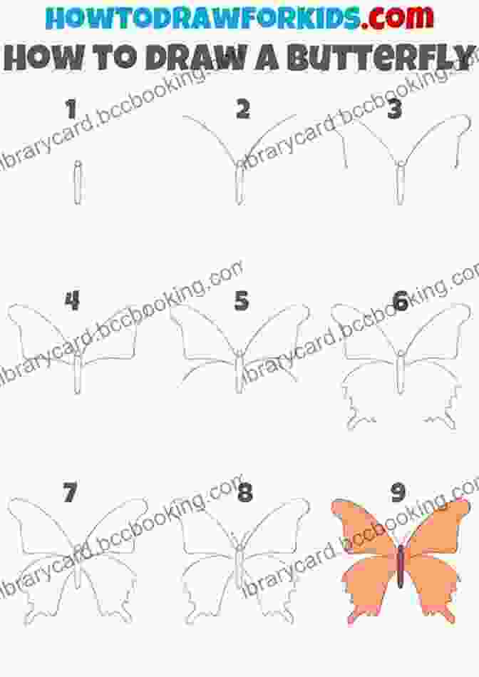 Step By Step Drawing Guide For A Butterfly How To Draw: Insects Dandi Palmer