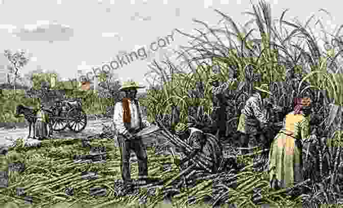 Sugarcane Plantation In Martinique, 19th Century Slavery In The Circuit Of Sugar Second Edition: Martinique And The World Economy 1830 1848 (SUNY Fernand Braudel Center Studies In Historical Social Science)