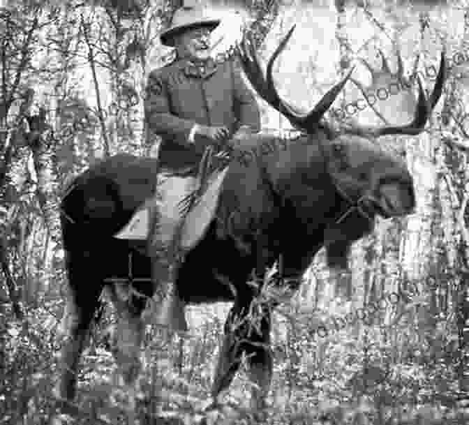 Teddy Roosevelt Riding A Moose Teddy Roosevelt Was A Moose? (Wait What?)
