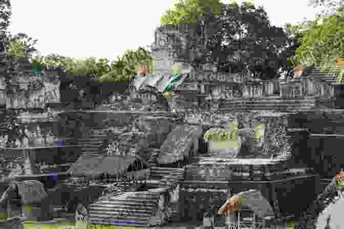 The Central Acropolis, A Complex Of Courtyards, Temples, And Pyramids, Forming The Heart Of Tikal. Tikal Smart Guide: The 2024 In Depth Guide For Visitors To Tikal Guatemala