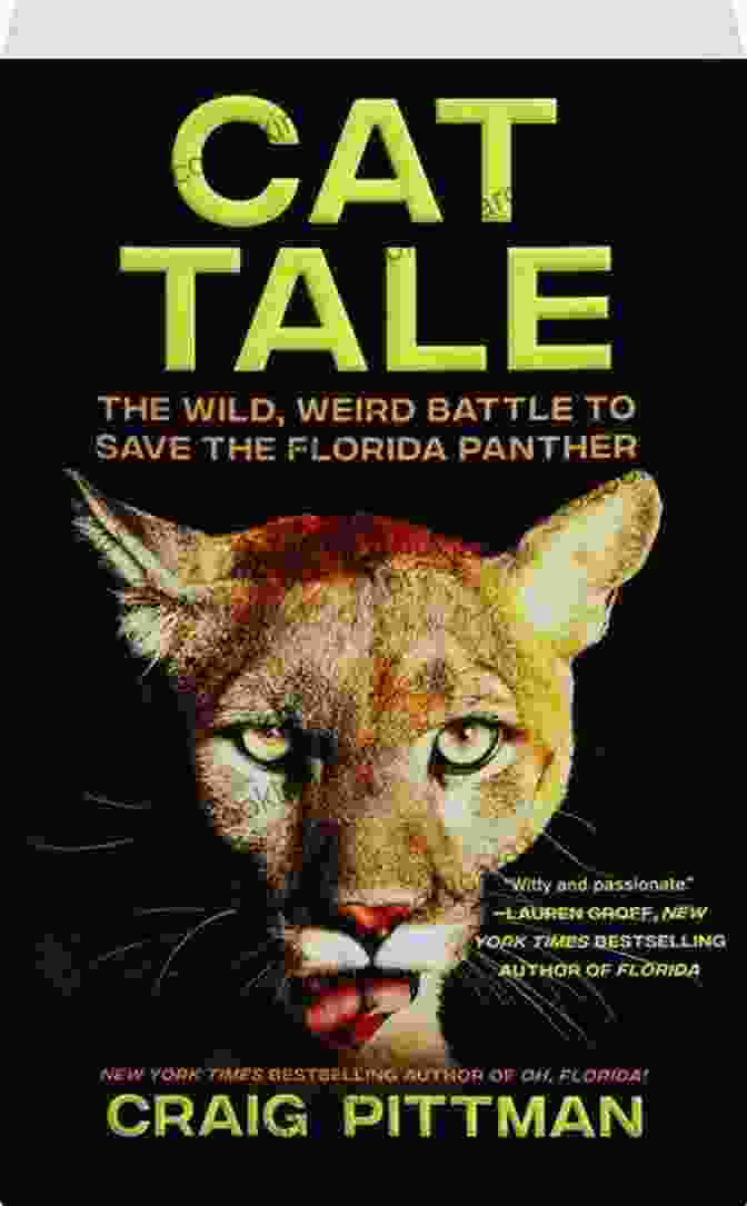 The Wild Weird Battle To Save The Florida Panther Book Cover Cat Tale: The Wild Weird Battle To Save The Florida Panther