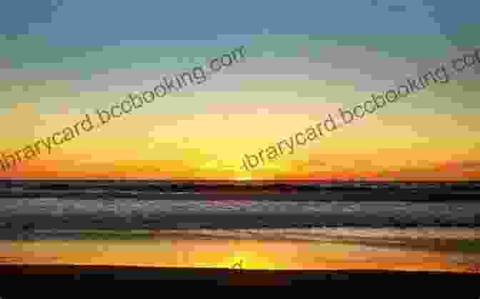 Todos Santos Beach At Sunset Tales Of Todos Santos: Amusing Stories From A Small Mexican Town In The Baja