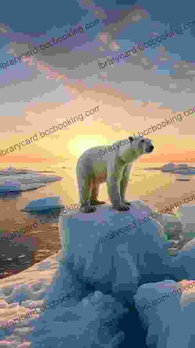 Towering Icebergs And Majestic Polar Bears In The Arctic Working For Wildness: A Naturalist Guide S Travels In The Arctic Antarctica Africa India Russia New Zealand And Scotland