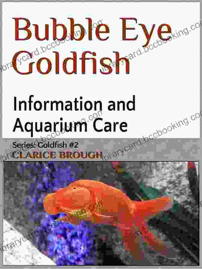 Veiltail Goldfish: The Definitive Guide By Clarice Brough Veiltail Goldfish Clarice Brough