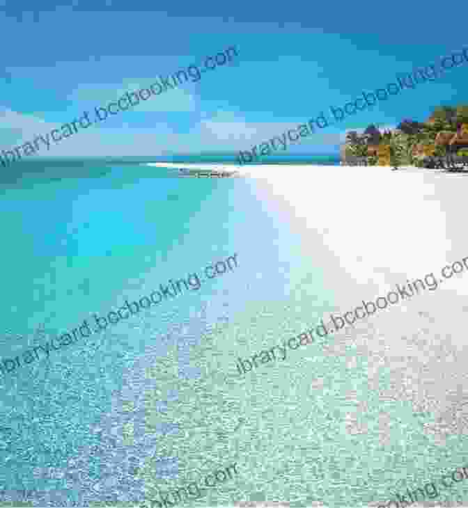 White Sandy Beach With Clear Blue Waters In Bay Of Plenty New Zealand Travel Guide: The Top 10 Highlights In New Zealand (Globetrotter Guide Books)