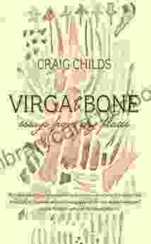 Virga Bone: Essays From Dry Places