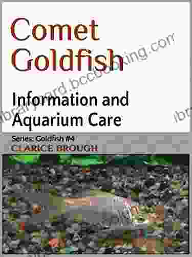Comet Goldfish Clarice Brough