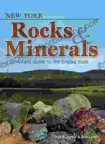 New York Rocks Minerals: A Field Guide To The Empire State (Rocks Minerals Identification Guides)