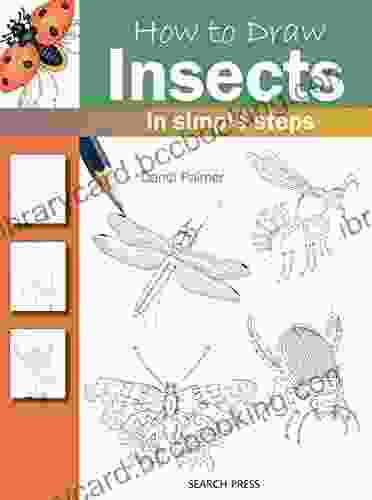 How To Draw: Insects Dandi Palmer