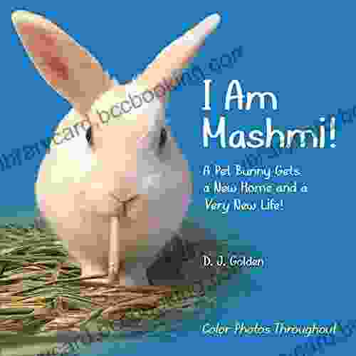 I Am Mashmi : A Pet Bunny Gets A New Home And A Very New Life